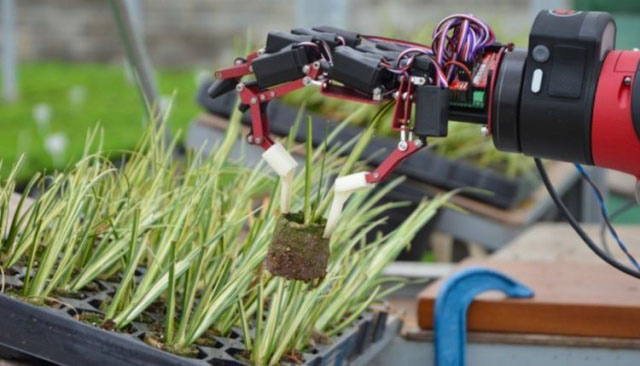 協作機器人的5種特殊應用案例